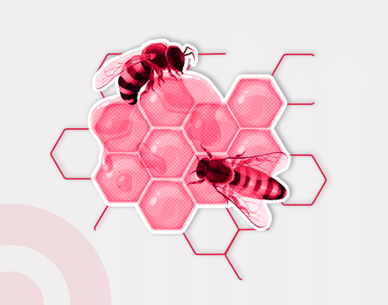 Two red bees sit on a cluster of pink, translucent honeycombs on a light gray background. The design is modern and vibrant.