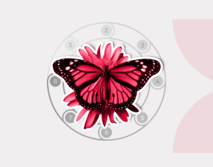 A vibrant pink butterfly with black accents and white spots rests on a matching pink flower. In the background, a faded gray circle displays numbers 1 to 8.
