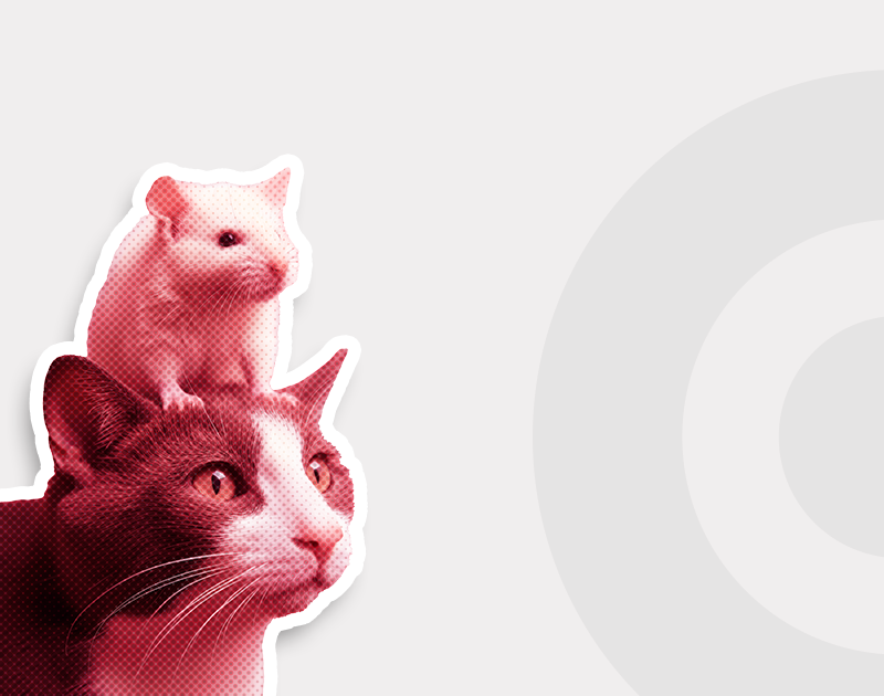 A mouse is playfully perched on top of a cat, both animals appearing curious and engaged with each other.